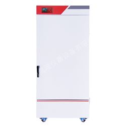 实验室样品干燥300度BGZ-656立式鼓风干燥箱