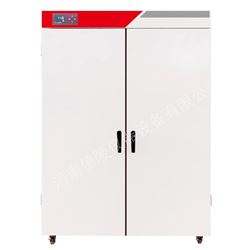 立式液晶编程1000升电热鼓风干燥箱BGZ-1006